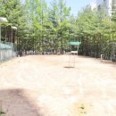 새현대 공인중개사사무소 이미지