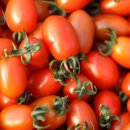 옥신농장 이미지