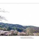 미동농장 이미지