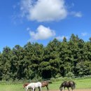 두원목장 이미지