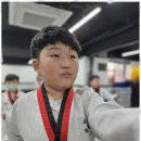 태무태권도장 이미지