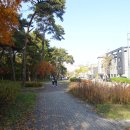 삼곡공원 이미지