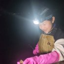 지에스25태안마검포점 이미지