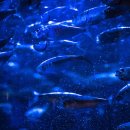 청어람로 이미지