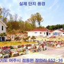 여주-0542 Daum카페