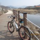 태화목재