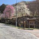 정금마을 차밭 앞 이미지