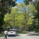 더(the)광푸드 | [발리 여행] 꾸따 공항 근처 5성급 신혼,가족 여행 숙소 추천 더안바야 비치 리조트 상세 솔직 후기