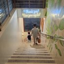 해피궁 | 마사지] 한국인 예약률 좋은 마사지숍 내 돈 내고 받은 후기- 궁스파 1호점:/ 해피 풋 스파:/ 도도스파