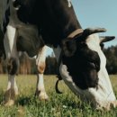 에이치알 농장 이미지