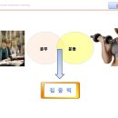 단하나피티 이미지