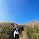 황매산 등산 | 코스 정리, 주차장 정보, 주변 맛집 | 모산재~정상~미리내주차장 코스 후기