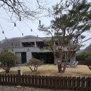 남이섬설리조트4 이미지