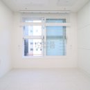 세븐일레븐강서화곡예스점 이미지