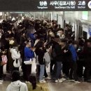 골드라인