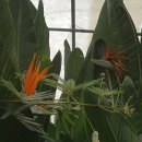 순겸농장 이미지