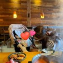 장어로운 솥밥 이미지