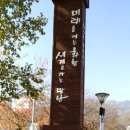 삼거리구구식당 네이버블로그