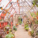 브이쇼핑 이미지