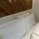 알마비즈니스호텔 | 진천 비니지스호텔 알마호텔 내돈내산 투숙 후기