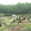 대전추모공원 이미지