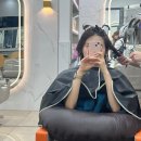 마이부 | [강남미용실] 역삼역미용실 비엠헤어다이스2 극손상모발 마이부클리닉 후기
