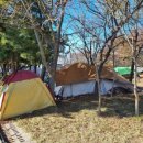 당진난지도국민여가캠핑장 이미지