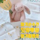 보꼬미 이미지