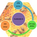 엔바이오 이미지