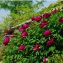 작은풍경 이미지