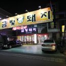 금빛돼지 이미지