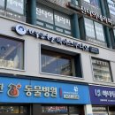 우진약품 | 서울 양천구 목동 머리 잘 하는 미용실 박승철헤어스투디오 염창역점에서 두피헤어스파 받고 왔어요