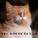 와 이미지