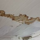 경기도 수원시 영통구 효원로358번길 이미지