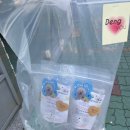 댕유 이미지