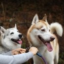 남수원초교 이미지