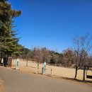 세종마트 | 국군복지단 세종 영외마트 쇼핑꿀팁 100개의 사진과 영상으로 총정리