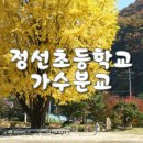 정선초교가수분교 이미지