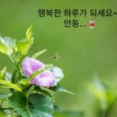 황민기