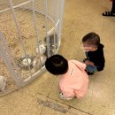 알파메디컬센터 | 세종 쥬라리움 전주근교 실내 가볼만한 곳 아이랑 동물원 키즈카페 체험