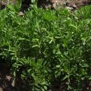 팔봉농장 이미지