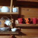 곰배령 주니네 이미지