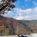 오글오글오토캠핑장 이미지