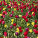 도원쉼터 이미지