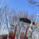 자은초등학교 | 자은 두봉산 등산코스 최단거리 후기