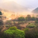 산정목장 1 이미지