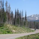 옐로우스톤 이미지