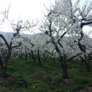 신중농장 이미지