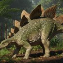 스테고사우루스-2 | 스테고사우루스의 등판 뼈는 무엇에 쓰였을까?