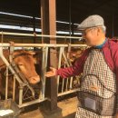 동정한우농장 이미지